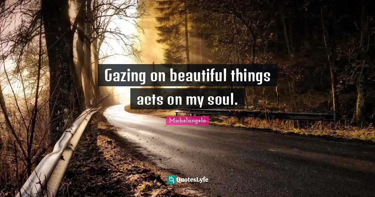 Michelangelo Quotes: "Gazing on beautiful things acts on my soul."