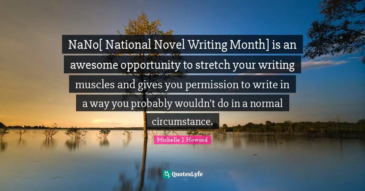 NaNo[ National Novel Writing Month] is an awesome opportunity to stretch your writing muscles and gives you permission to write in a way you probably wouldn't do in a normal circumstance.