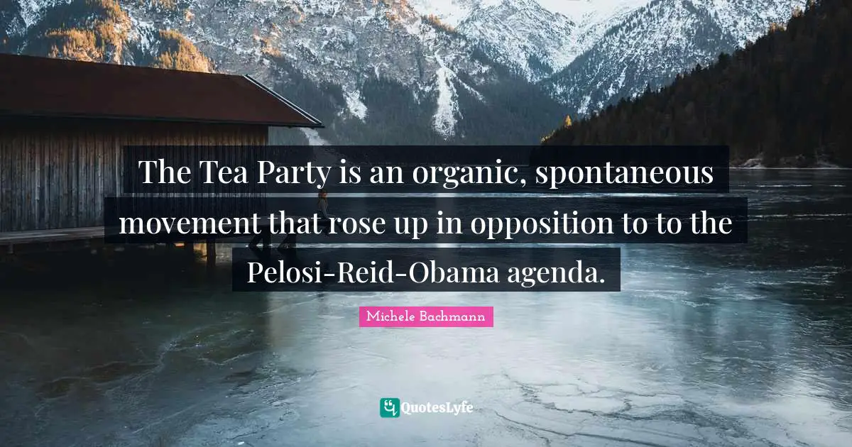 The Tea Party is an organic, spontaneous movement that rose up in opposition to to the Pelosi-Reid-Obama agenda.