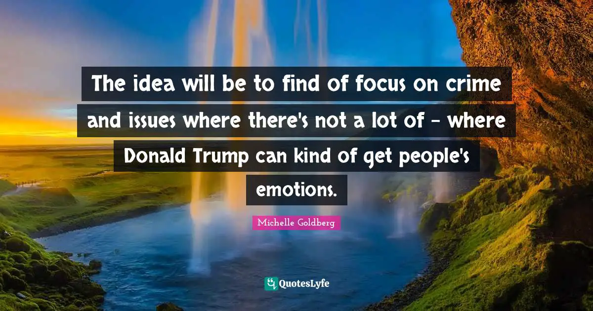 The idea will be to find of focus on crime and issues where there's not a lot of - where Donald Trump can kind of get people's emotions.