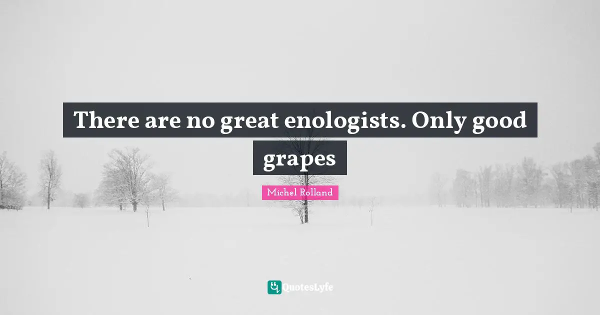 There are no great enologists. Only good grapes