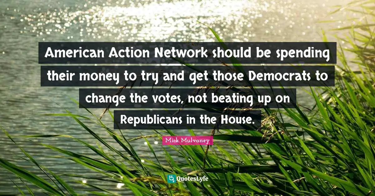 American Action Network should be spending their money to try and get those Democrats to change the votes, not beating up on Republicans in the House.
