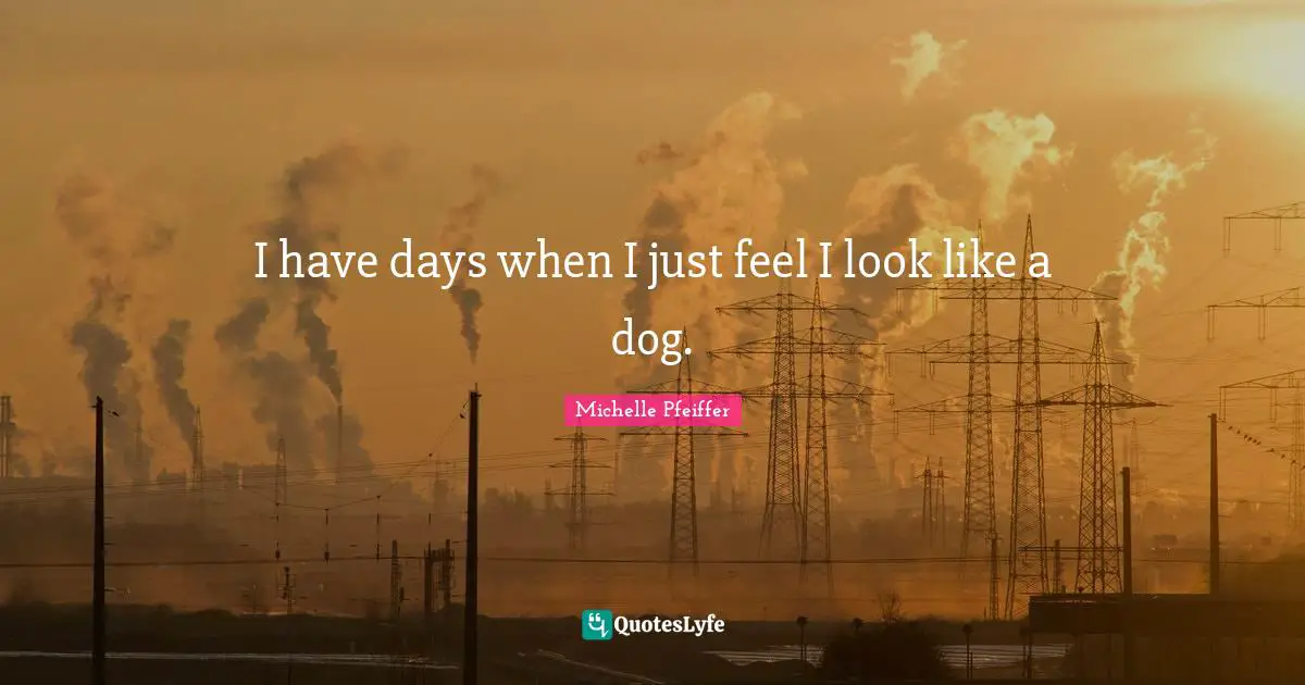 Michelle Pfeiffer Quotes: "I have days when I just feel I look like a dog."