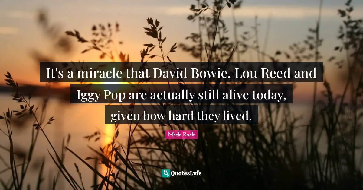It's a miracle that David Bowie, Lou Reed and Iggy Pop are actually still alive today, given how hard they lived.