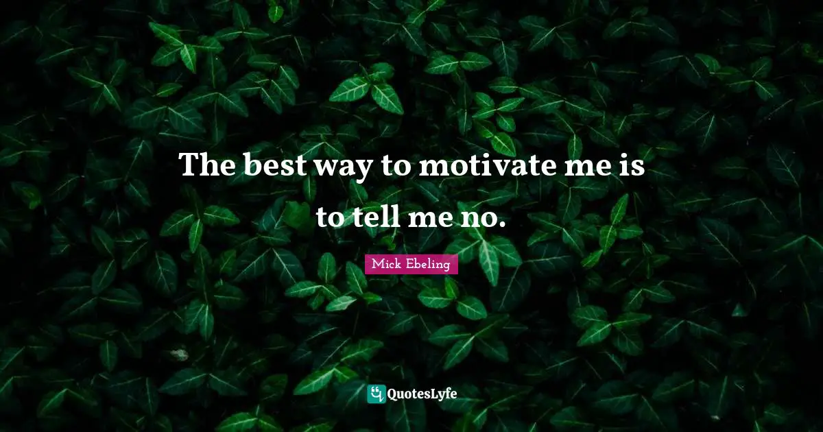 The best way to motivate me is to tell me no.