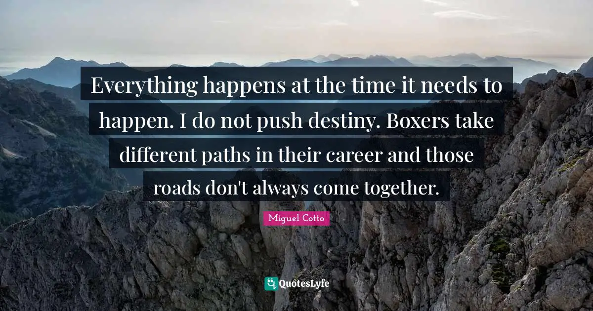 Everything happens at the time it needs to happen. I do not push destiny. Boxers take different paths in their career and those roads don't always come together.