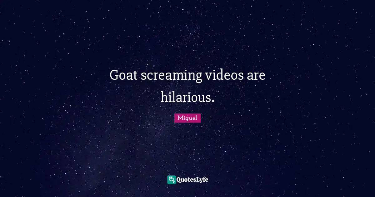 Goat screaming videos are hilarious.