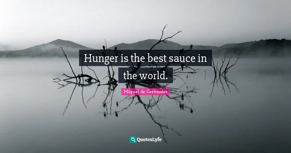 Sauce Quotes: "Hunger is the best sauce in the world."