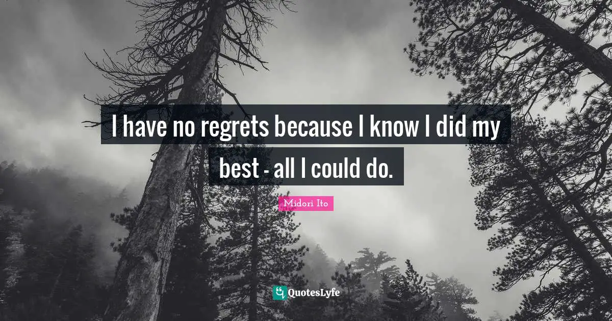 Regrets Quotes: "I have no regrets because I know I did my best - all I could do."