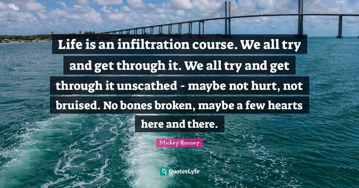 Life is an infiltration course. We all try and get through it. We all try and get through it unscathed - maybe not hurt, not bruised. No bones broken, maybe a few hearts here and there.