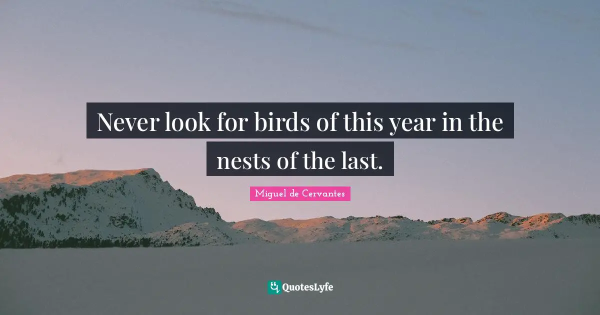 Miguel De Cervantes Quotes: "Never look for birds of this year in the nests of the last."