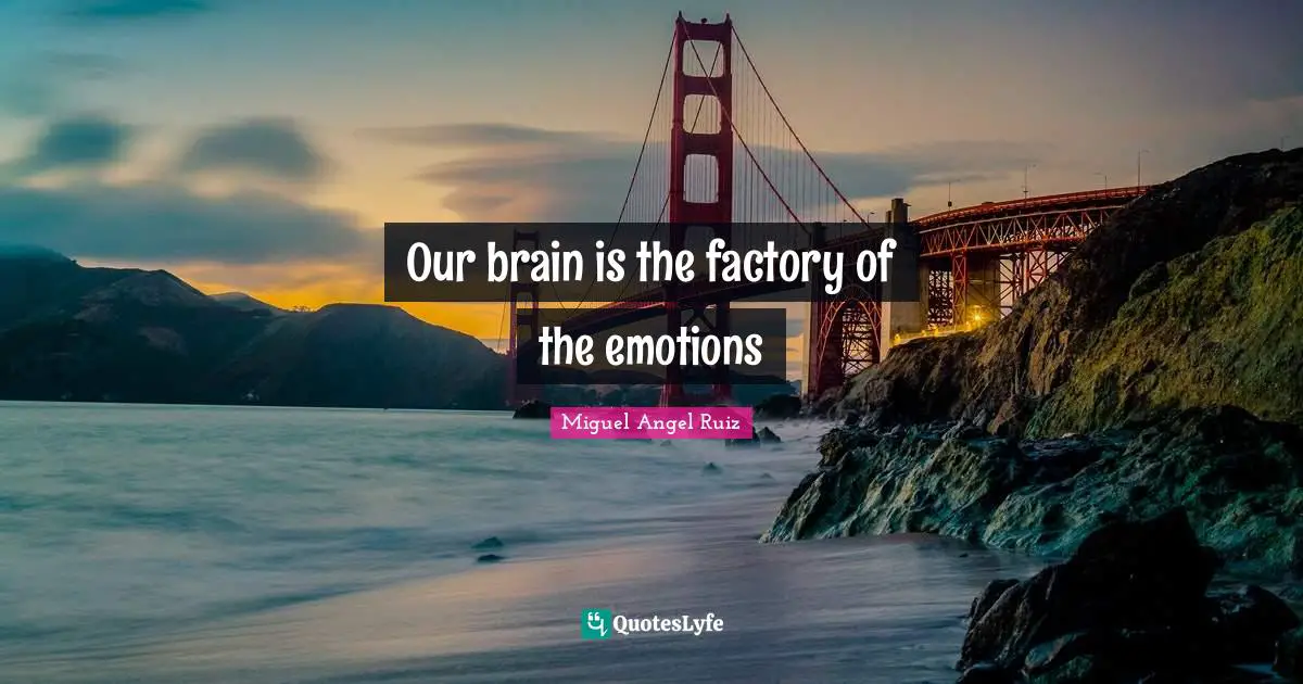 Our brain is the factory of the emotions