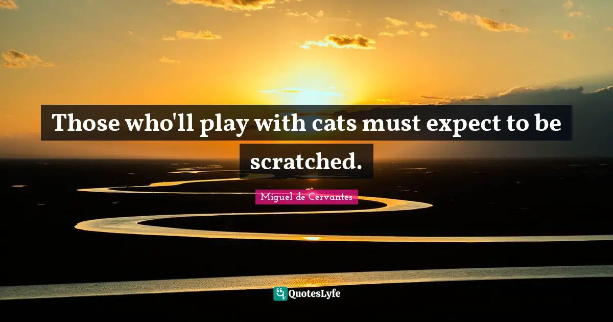 Those who'll play with cats must expect to be scratched.
