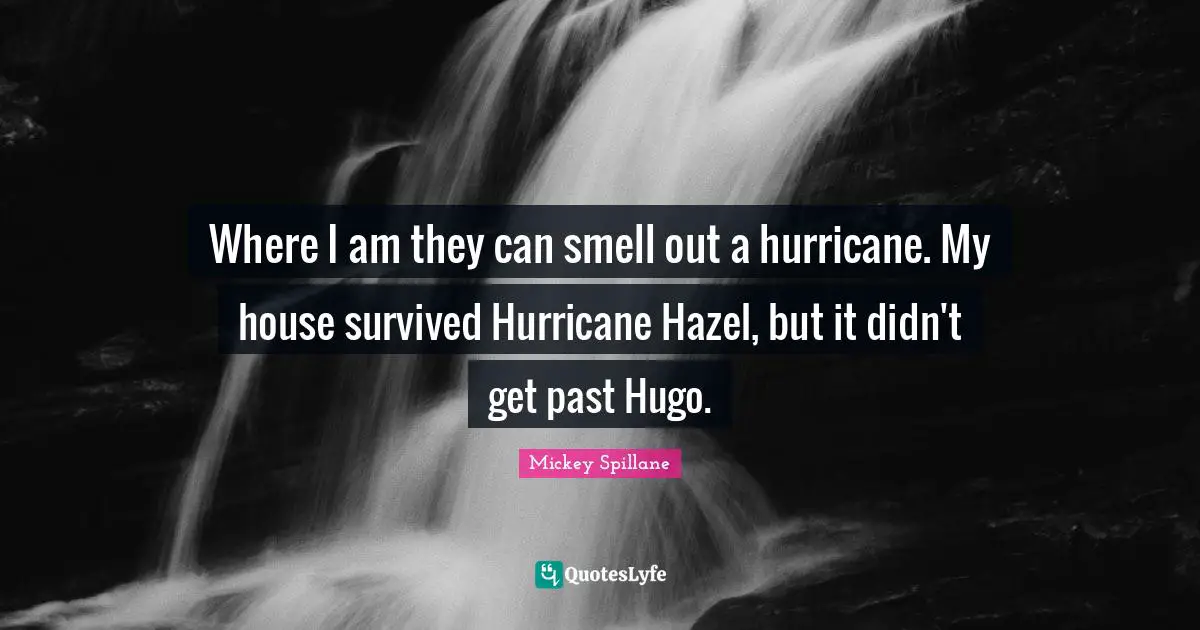 Where I am they can smell out a hurricane. My house survived Hurricane Hazel, but it didn't get past Hugo.
