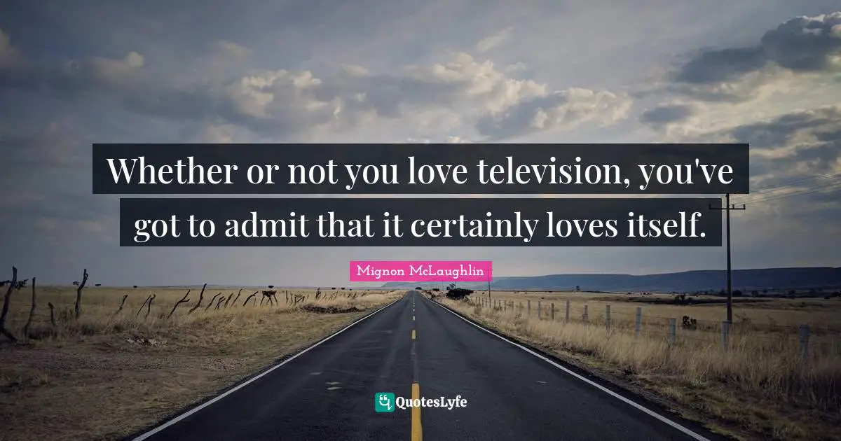 Whether or not you love television, you've got to admit that it certainly loves itself.
