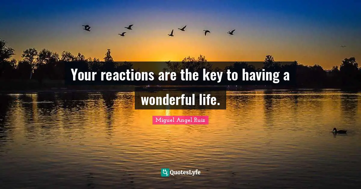 Your reactions are the key to having a wonderful life.
