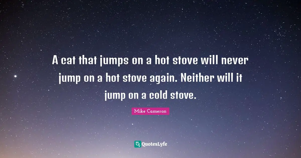 A cat that jumps on a hot stove will never jump on a hot stove again. Neither will it jump on a cold stove.