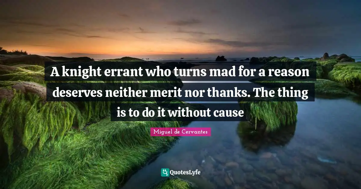 A knight errant who turns mad for a reason deserves neither merit nor thanks. The thing is to do it without cause