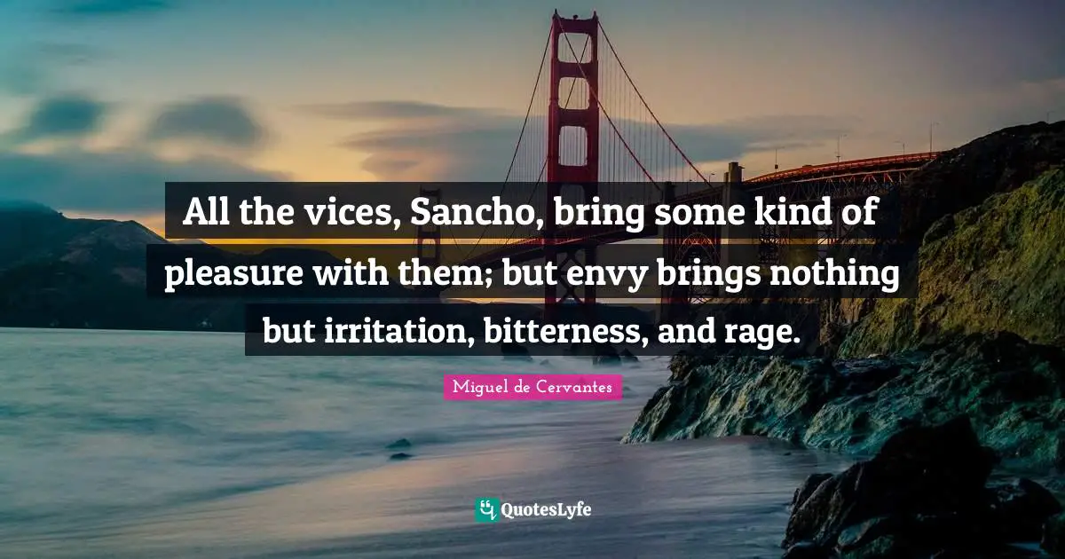 Irritation Quotes: "All the vices, Sancho, bring some kind of pleasure with them; but envy brings nothing but irritation, bitterness, and rage."