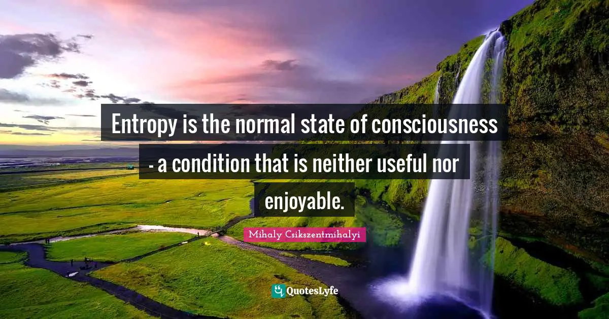 Entropy is the normal state of consciousness - a condition that is neither useful nor enjoyable.