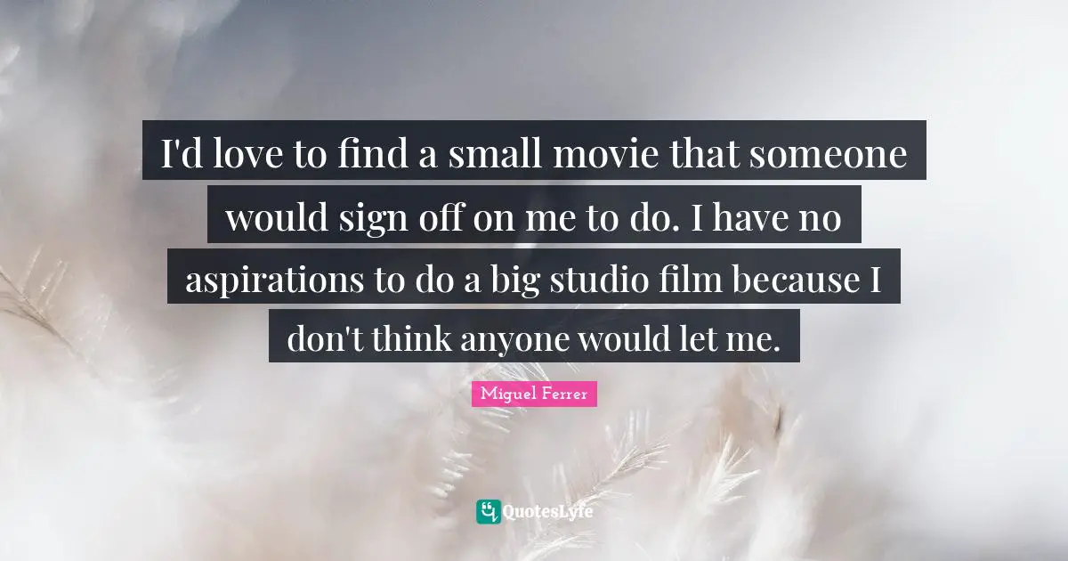 I'd love to find a small movie that someone would sign off on me to do. I have no aspirations to do a big studio film because I don't think anyone would let me.