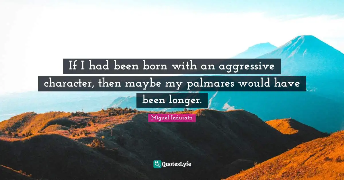 If I had been born with an aggressive character, then maybe my palmares would have been longer.
