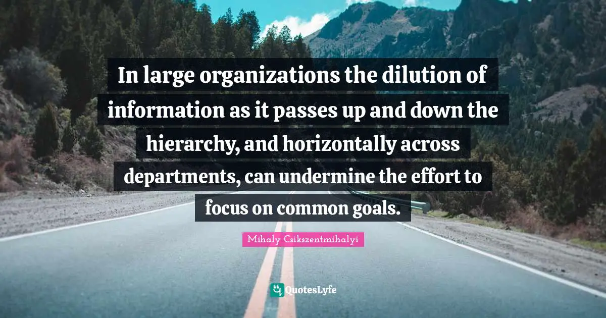 In large organizations the dilution of information as it passes up and down the hierarchy, and horizontally across departments, can undermine the effort to focus on common goals.