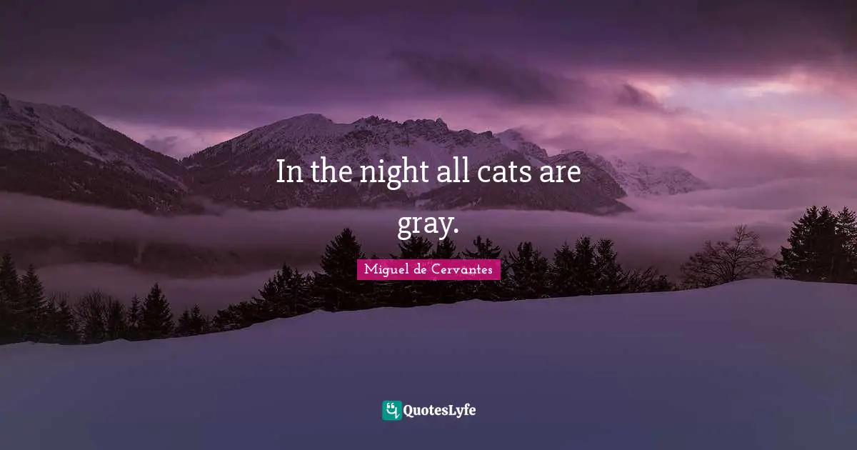 In the night all cats are gray.