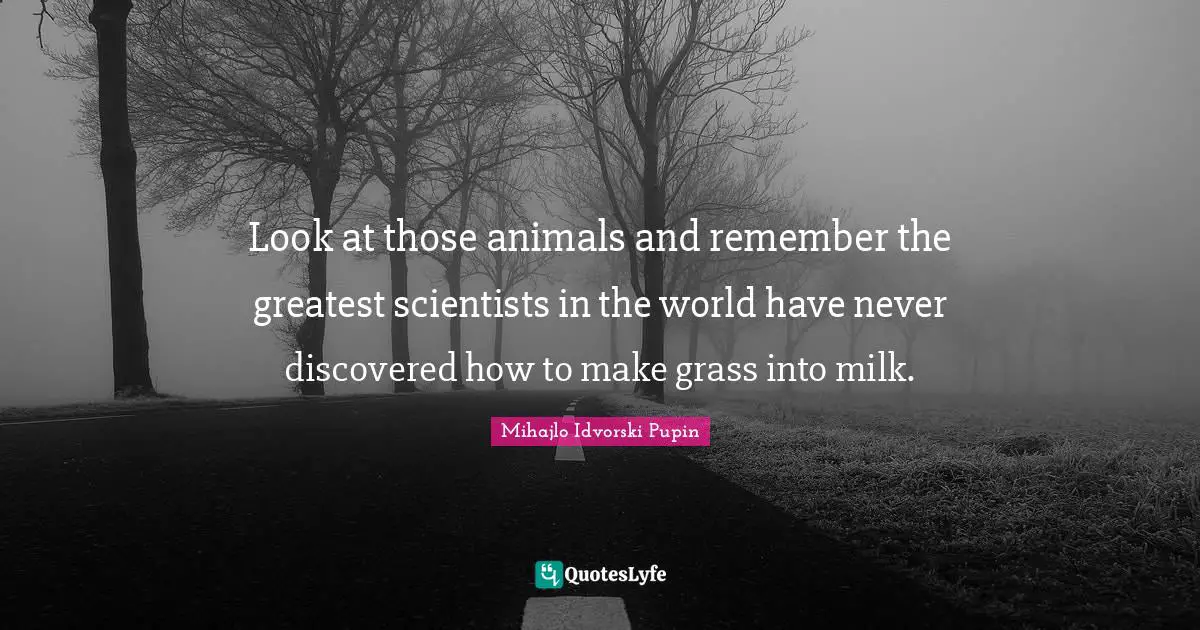 Look at those animals and remember the greatest scientists in the world have never discovered how to make grass into milk.