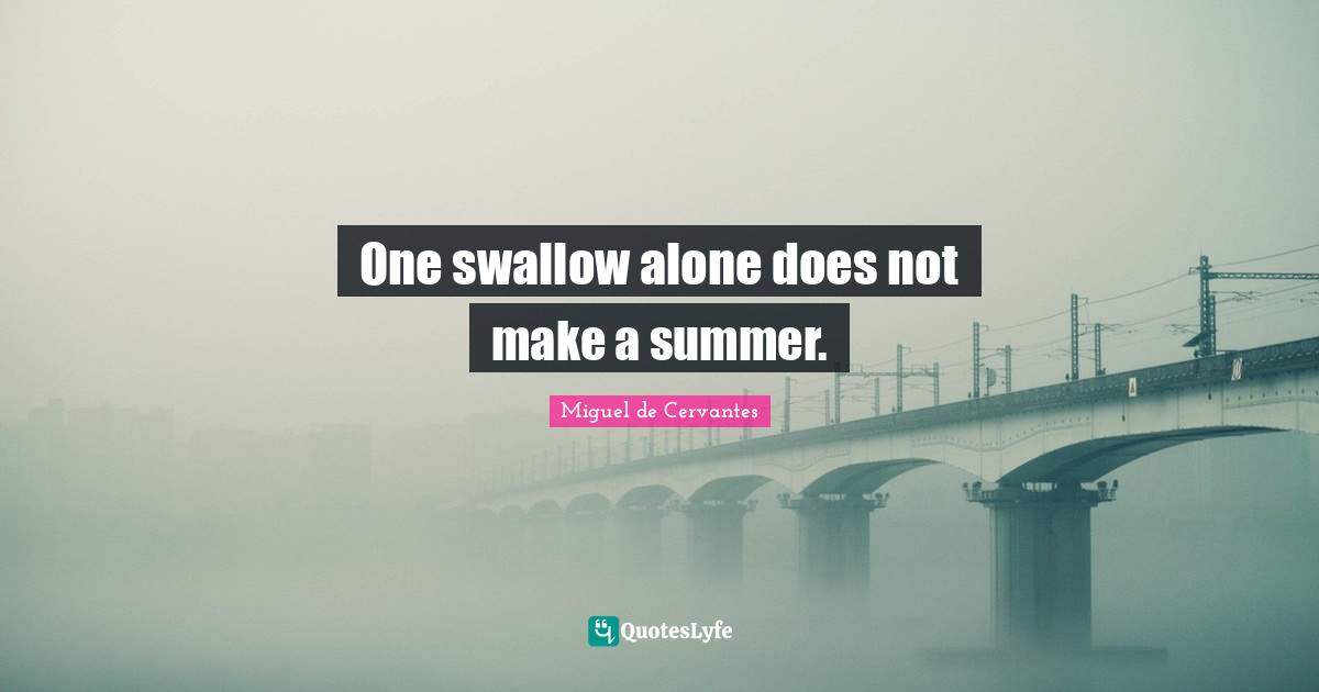 One swallow alone does not make a summer.