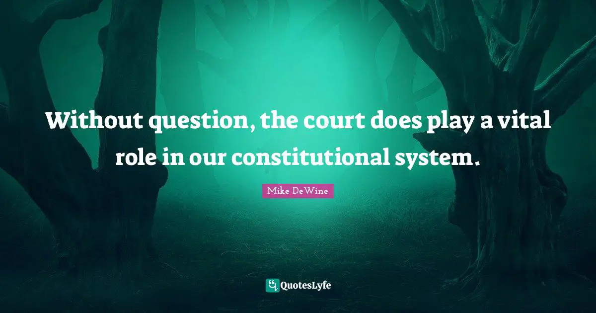 Without question, the court does play a vital role in our constitutional system.