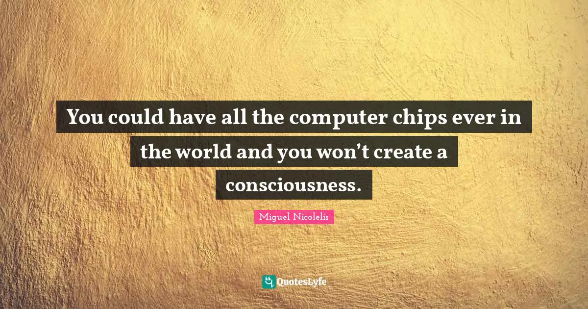 You could have all the computer chips ever in the world and you won’t create a consciousness.