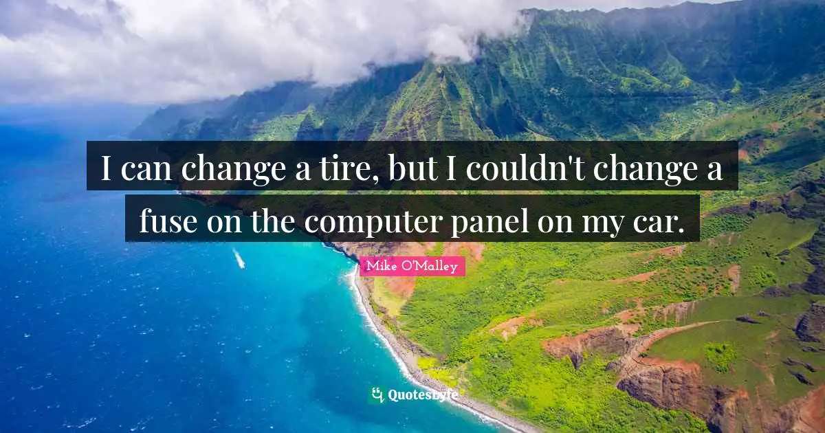 I can change a tire, but I couldn't change a fuse on the computer panel on my car.