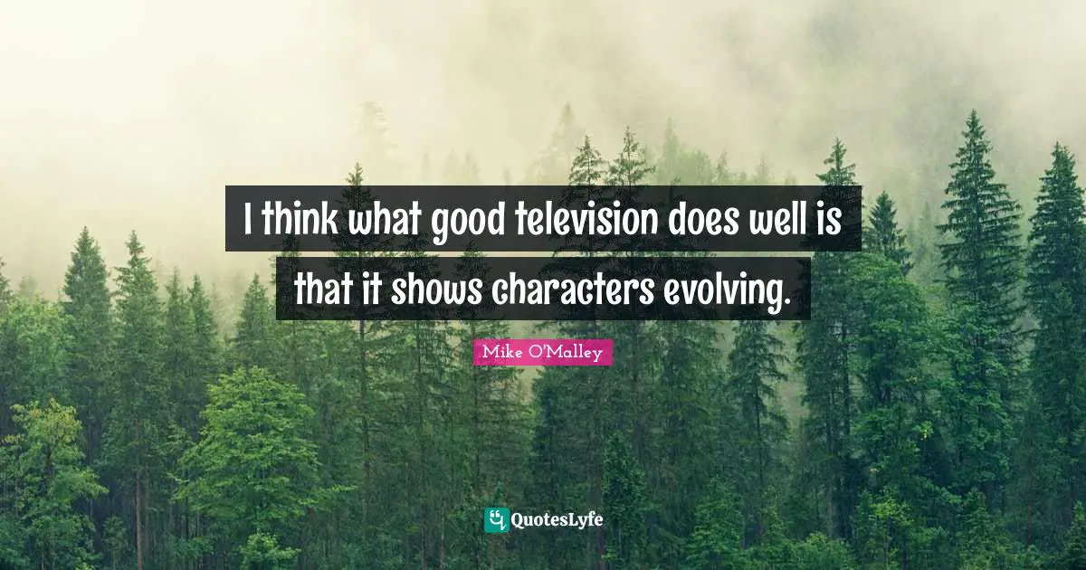 I think what good television does well is that it shows characters evolving.
