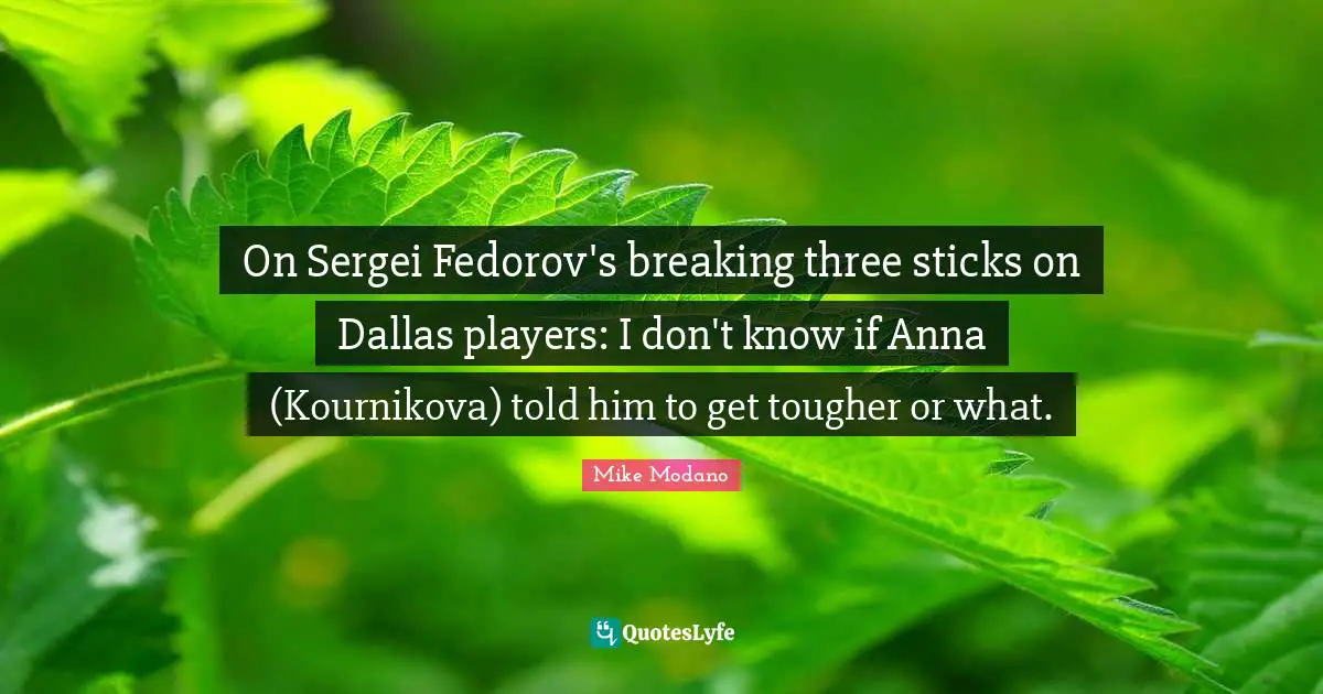 On Sergei Fedorov's breaking three sticks on Dallas players: I don't know if Anna (Kournikova) told him to get tougher or what.