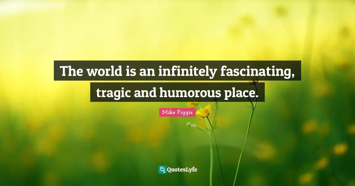 The world is an infinitely fascinating, tragic and humorous place.