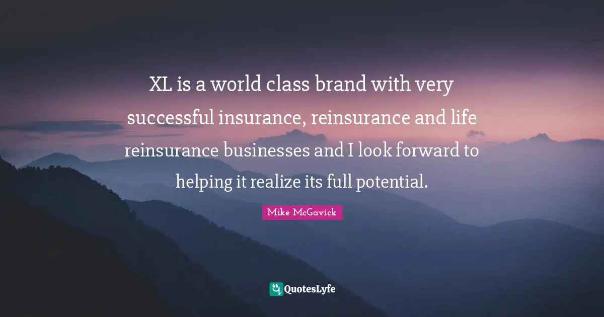 XL is a world class brand with very successful insurance, reinsurance and life reinsurance businesses and I look forward to helping it realize its full potential.