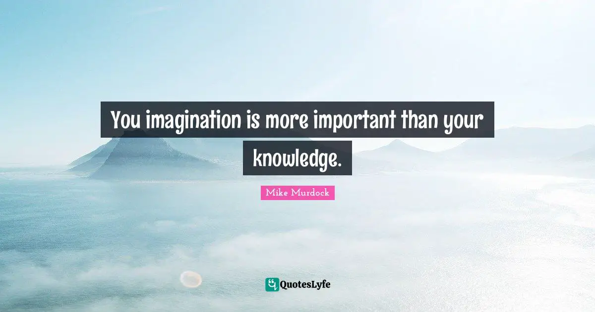 You imagination is more important than your knowledge.
