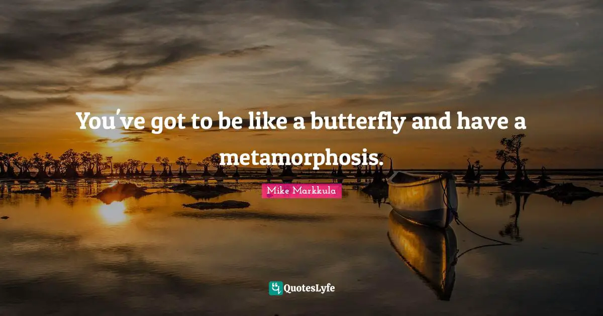 Metamorphosis Quotes: "You've got to be like a butterfly and have a metamorphosis."