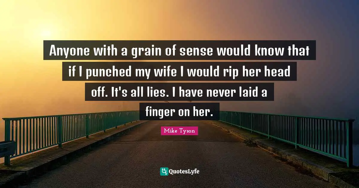 Anyone with a grain of sense would know that if I punched my wife I would rip her head off. It's all lies. I have never laid a finger on her.
