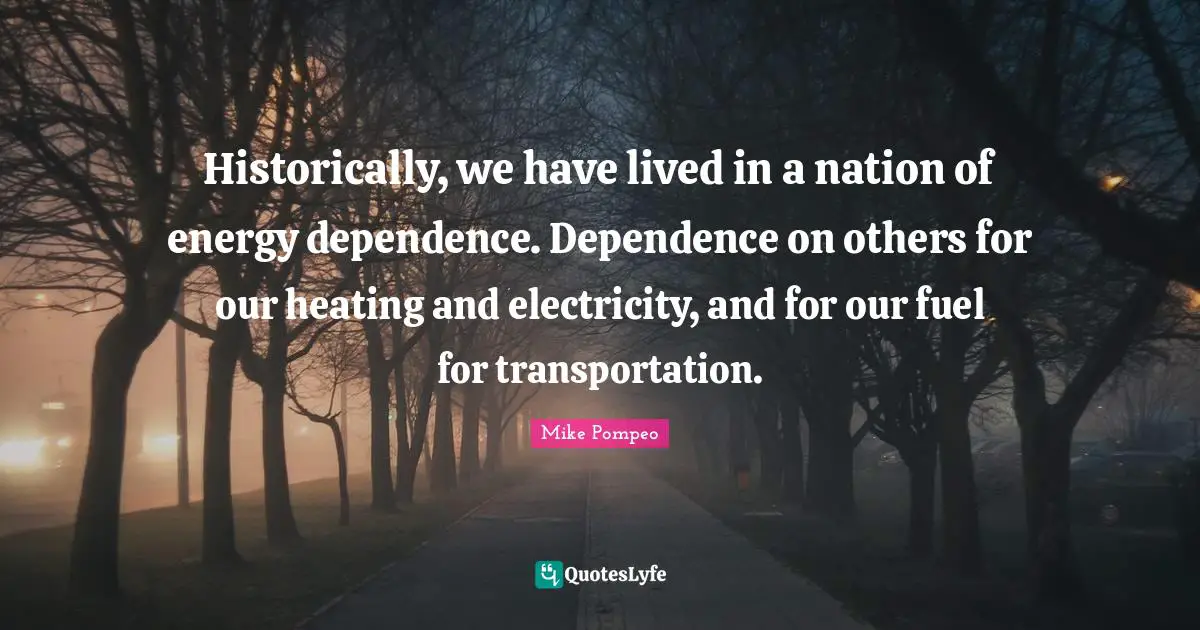 Dependence On Others Quotes: "Historically, we have lived in a nation of energy dependence. Dependence on others for our heating and electricity, and for our fuel for transportation."