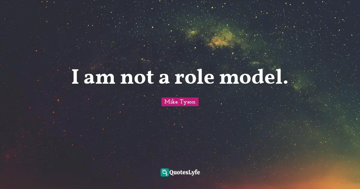 I am not a role model.