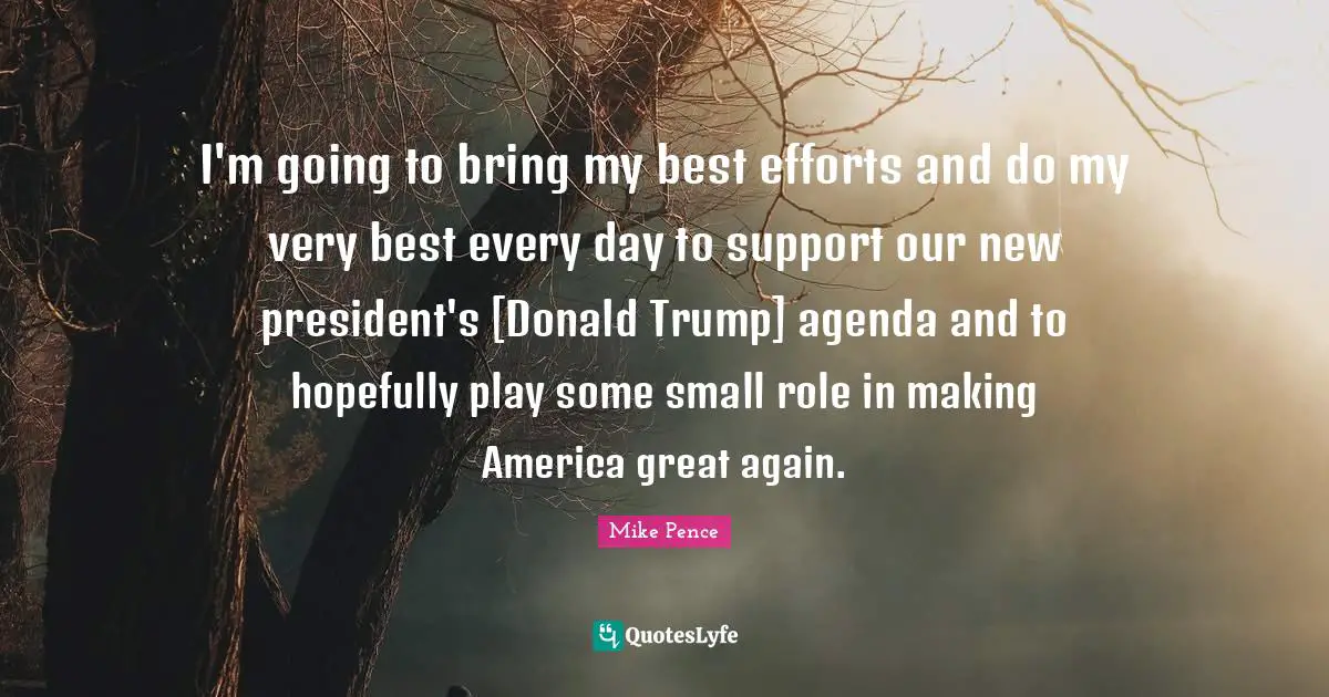 I'm going to bring my best efforts and do my very best every day to support our new president's [Donald Trump] agenda and to hopefully play some small role in making America great again.
