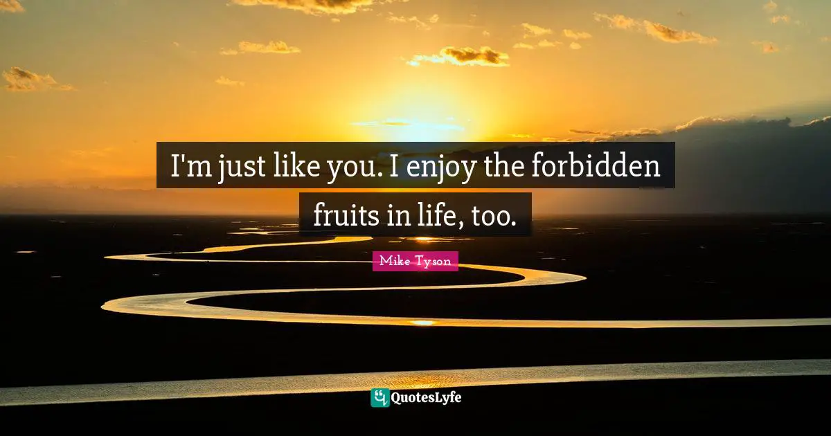 I Like You Quotes: "I'm just like you. I enjoy the forbidden fruits in life, too."
