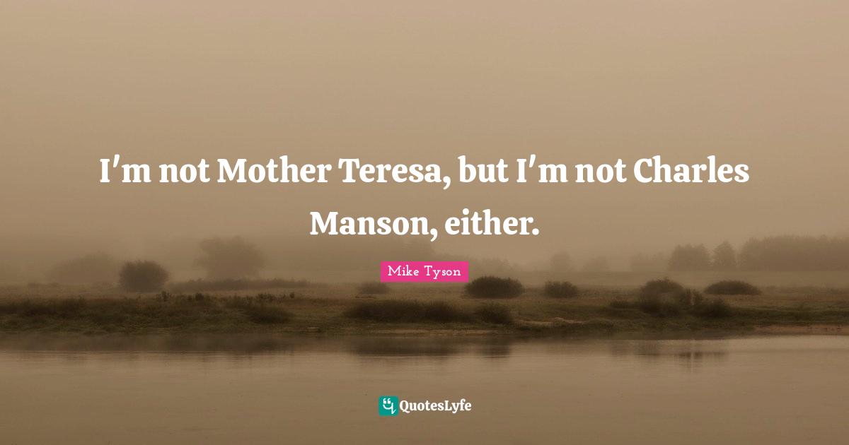 I'm not Mother Teresa, but I'm not Charles Manson, either.