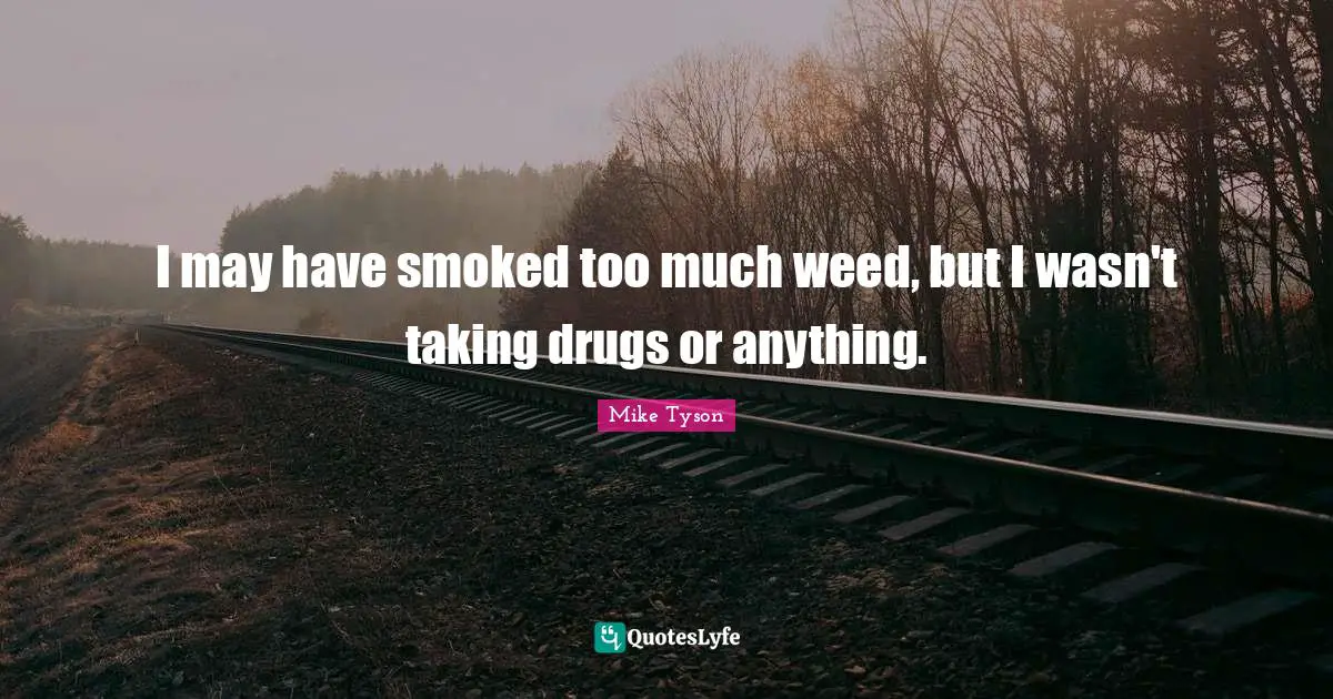 I may have smoked too much weed, but I wasn't taking drugs or anything.