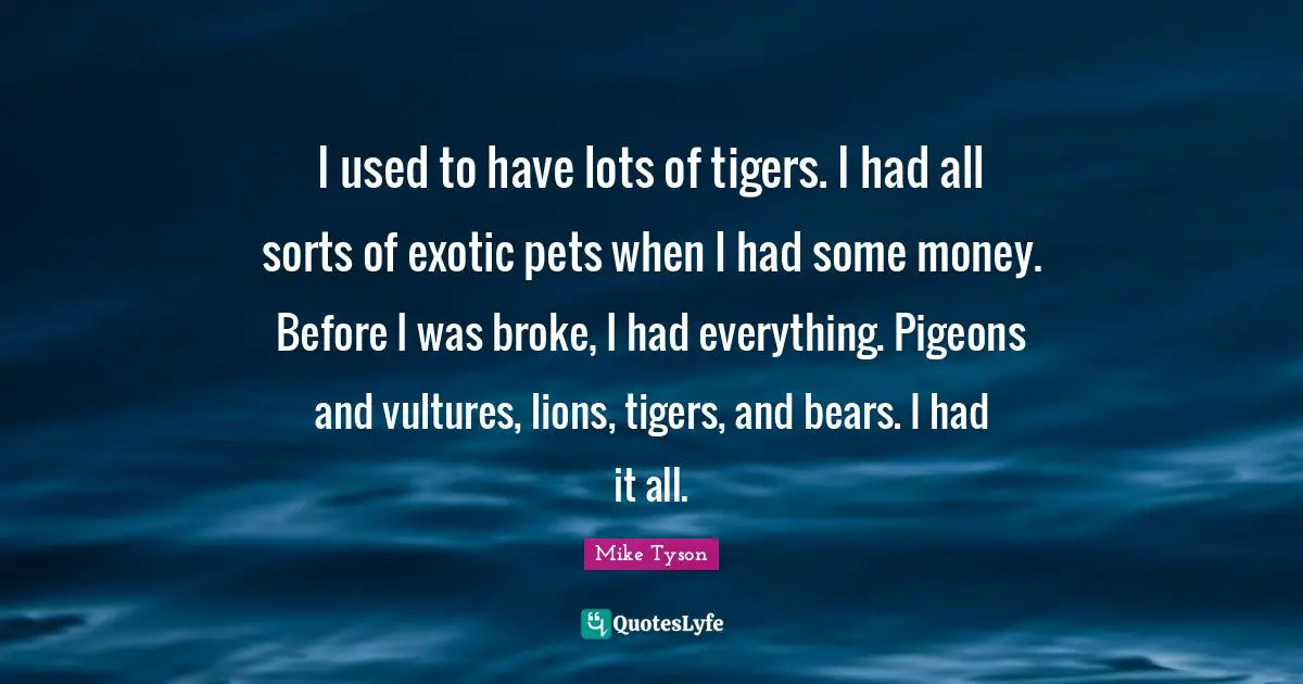 I used to have lots of tigers. I had all sorts of exotic pets when I had some money. Before I was broke, I had everything. Pigeons and vultures, lions, tigers, and bears. I had it all.