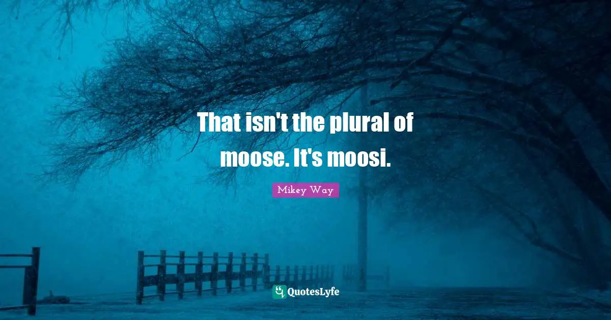That isn't the plural of moose. It's moosi.