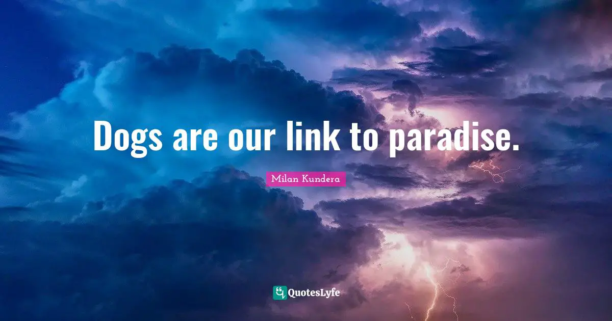 Links Quotes: "Dogs are our link to paradise."