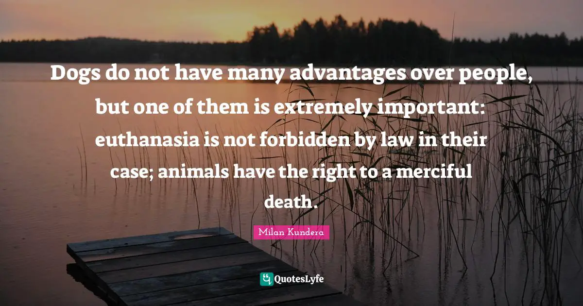 Dogs do not have many advantages over people, but one of them is extremely important: euthanasia is not forbidden by law in their case; animals have the right to a merciful death.